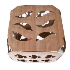 TIAKI Game Box With Ball 26 X 26 X 26 Cm (L X W X H) -Zoo Plus 527896 tiaki game box with ball fg 6766 4