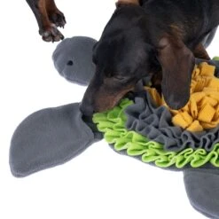 TIAKI Melbourne Turtle Sniffer Mat 61 X 50 X 6 Cm (L X W X H) -Zoo Plus 527997 ml melbourne turtle sniffing mat fg 6216 4