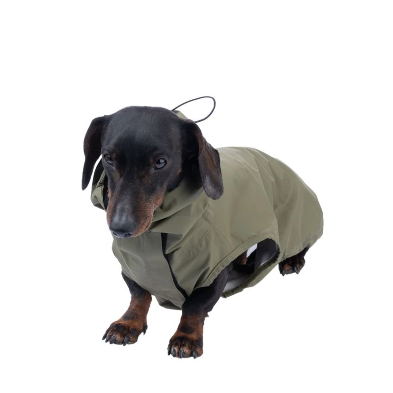 TIAKI Pet & Parent Matching Raincoat Set Dog Coat: Back Length Approx. 40cm 18 TIAKI Pet & Parent Matching Raincoat Set Dog Coat: Back Length Approx. 40cm - Image 18