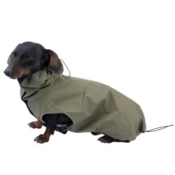 TIAKI Pet & Parent Matching Raincoat Set Raincoat For Owners: L/XL -Zoo Plus 528097 tiaki matching dog raincoat 40 cm dog fg 4095 2