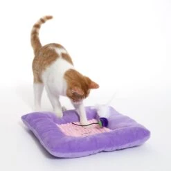 TIAKI Aubergine Cuddly Cushion With Catnip 1 Cushion -Zoo Plus 529997 cat fg 1556 1