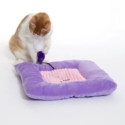 TIAKI Aubergine Cuddly Cushion With Catnip 1 Cushion -Zoo Plus 529997 cat fg 1560 2