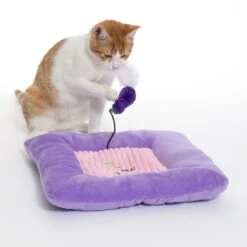 TIAKI Aubergine Cuddly Cushion With Catnip 1 Cushion -Zoo Plus 529997 cat fg 1561 4