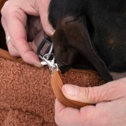 TIAKI Teddy Carry Bag For Dogs Copper -Zoo Plus 531256 tiaki shoulder bag teddy fg 8676 9 1