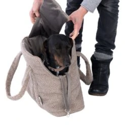 TIAKI Teddy Carry Bag For Dogs Copper -Zoo Plus 531257 tiaki shoulder bag teddy fg 8689 2 1