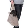 TIAKI Teddy Carry Bag For Dogs Taupe