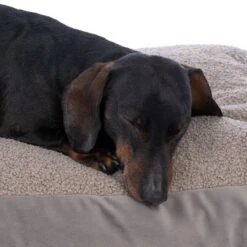 TIAKI Teddy Dog Mattress - Taupe Size L: 100 X 70 X 10 Cm (L X W X H) -Zoo Plus 531258 tiaki matress teddy fg 8572 5