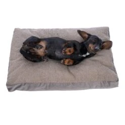 TIAKI Teddy Dog Mattress - Taupe Size M: 70 X 50 X 10 Cm (L X W X H) -Zoo Plus 531258 tiaki matress teddy fg 8574 7 1