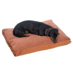 TIAKI Teddy Dog Mattress - Copper Size M: 70 X 50 X 10 Cm (L X W X H) -Zoo Plus 532701 tiaki matress teddy fg 8564 0 1