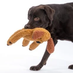 TIAKI Pepo Dog Toy 45 X 18 X 7 Cm (L X W X H) -Zoo Plus 533096 tiaki pepo dog toy fg 8444 7