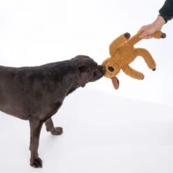 TIAKI Pepo Dog Toy 45 X 18 X 7 Cm (L X W X H) -Zoo Plus 533096 tiaki pepo dog toy fg 8451 2