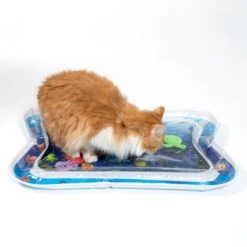 TIAKI Water Sensory Play Mat 66 X 50 Cm (L X W) -Zoo Plus 533098 cat fg 4529 3