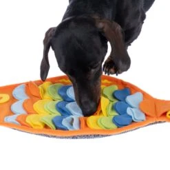 TIAKI Rainbow Fish Sniffing Mat Approx. 48 X 25cm (L X W) -Zoo Plus 539597 tiaki rainbow fish sniffing mat dog fg 0698 0