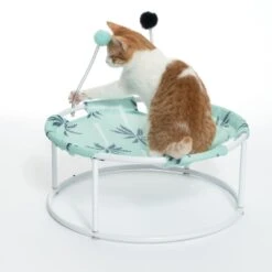 TIAKI Palm Tree Sun Lounger With Pompoms Diameter 45 X (H) 19 Cm -Zoo Plus 539696 cat fg 1398 0