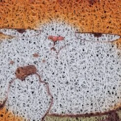 TIAKI "Welcome" Doormat With Cat 80 X 50cm (L X W) -Zoo Plus 542422 doormat cat welcome fg 7222 6