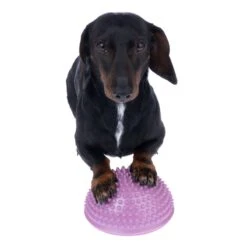 TIAKI Agility Paw Pods 4 Pods: Each Diameter 16 X (H) 8.5 Cm -Zoo Plus 548797 agility paw pods fg 4856 3