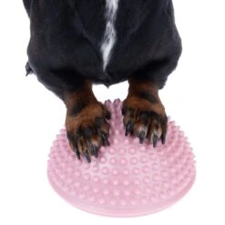 TIAKI Agility Paw Pods 4 Pods: Each Diameter 16 X (H) 8.5 Cm -Zoo Plus 548797 agility paw pods fg 4862 1
