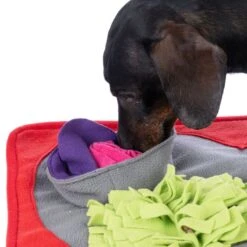 TIAKI Heart Sniffing Mat 50 X 50 Cm (L X W) -Zoo Plus 561405 tiaki heart sniffing mat dog fg 0686 0