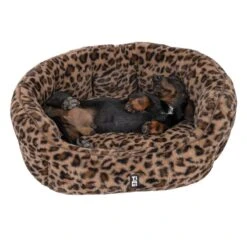 TIAKI Leo Dog Bed Size M: 60 X 50 X 22 Cm (L X W X H) -Zoo Plus 561431 tiaki hundebett leo fg 9448 8 1