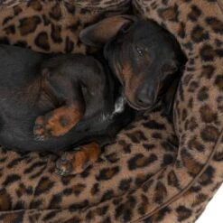 TIAKI Leo Dog Bed Size S: 50 X 40 X 20 Cm (L X W X H) -Zoo Plus 561431 tiaki hundebett leo fg 9451 9