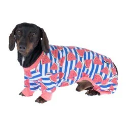 TIAKI Pet & Parent Pyjamas - Melon Dog Shirt: Small (35cm Back Length) -Zoo Plus 563613 melon size s 35cm fg 8684 9 2