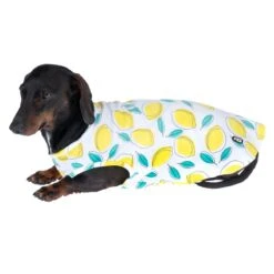 TIAKI Pet & Parent Pyjamas - Lemon Size L: Dog Shirt (approx. 45cm Back Length) 28 TIAKI Pet & Parent Pyjamas - Lemon Size L: Dog Shirt (approx. 45cm Back Length) -Zoo Plus 563616 lemon size m 40cm fg 8733 1 3