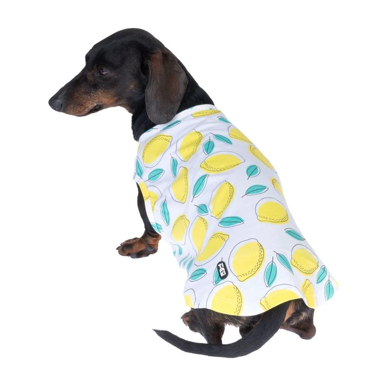 TIAKI Pet & Parent Pyjamas - Lemon Size L: Dog Shirt (approx. 45cm Back Length) 6 TIAKI Pet & Parent Pyjamas - Lemon Size L: Dog Shirt (approx. 45cm Back Length) - Image 6
