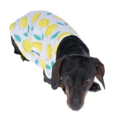 TIAKI Pet & Parent Pyjamas - Lemon Set: Small PJs For Dog Parents + 45cm (back Length) Dog Shirt 34 TIAKI Pet & Parent Pyjamas - Lemon Set: Small PJs For Dog Parents + 45cm (back Length) Dog Shirt -Zoo Plus 563616 lemon size m 40cm fg 8737 8 9