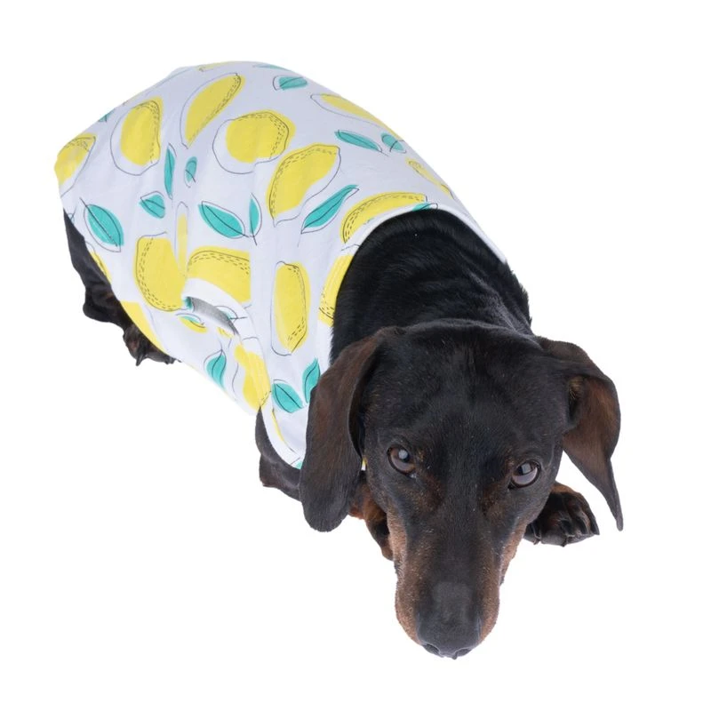 TIAKI Pet & Parent Pyjamas - Lemon Set: Small PJs For Dog Parents + 45cm (back Length) Dog Shirt 15 TIAKI Pet & Parent Pyjamas - Lemon Set: Small PJs For Dog Parents + 45cm (back Length) Dog Shirt - Image 15