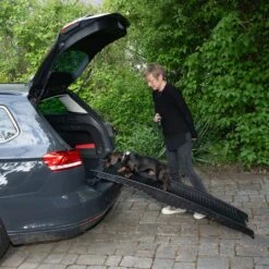 TIAKI Plastic Dog Ramp 153 X 40 X 12.5 Cm (L X W X H) 29 TIAKI Plastic Dog Ramp 153 X 40 X 12.5 Cm (L X W X H) -Zoo Plus 583198 tiaki dog ramp plastic dog fg 9537 5