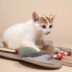 TIAKI Pawprint Interactive Mat For Cats 1 Mat 35 TIAKI Pawprint Interactive Mat For Cats 1 Mat -Zoo Plus 586398 tiaki footprint cat interactive mat cat fg 2665 1