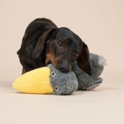 TIAKI Dodo Strong Neck Plush Toy 36 X 21 Cm (L X W) -Zoo Plus 586696 tiaki dodo strong neck plush toy fg 0857 4