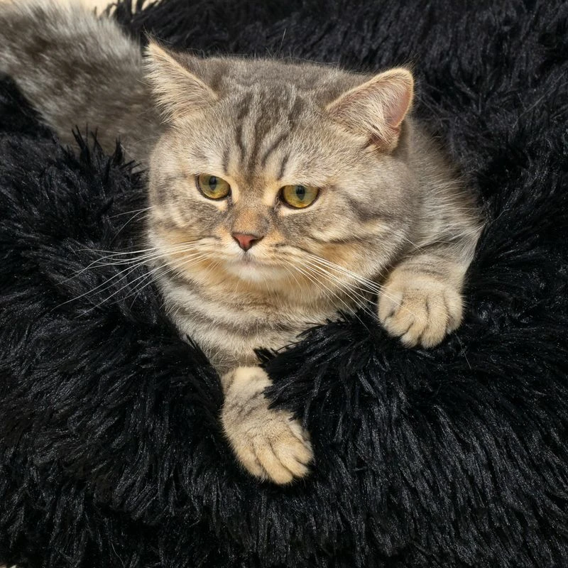 TIAKI Harry Cat Cave Grey: Approx.50 X 20cm (diameter X H) 18 TIAKI Harry Cat Cave Grey: Approx.50 X 20cm (diameter X H) - Image 18