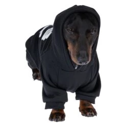 TIAKI Glow-in-the-Dark Skeleton Hoodie Size S: Approx. 30cm Back Length -Zoo Plus 593097 tiaki skeleton hoodie glow in the dark l dog fg 9625 0 1