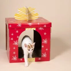 TIAKI Red Gift Box Scratching Furniture 37.5 X 37.5 X 50 Cm (L X W X H) -Zoo Plus 596105 tiaki red giftbox scratcher cat fg 2607 3