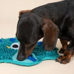 TIAKI Peacock Sniffing Mat 36 X 31 X 1 Cm (L X W X H) 28 TIAKI Peacock Sniffing Mat 36 X 31 X 1 Cm (L X W X H) -Zoo Plus 596497 tiaki peacock sniffing mat fg 0714 5