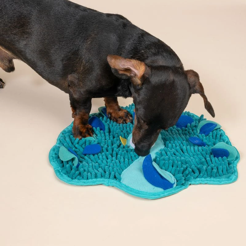 TIAKI Peacock Sniffing Mat 36 X 31 X 1 Cm (L X W X H) 14 TIAKI Peacock Sniffing Mat 36 X 31 X 1 Cm (L X W X H) - Image 14