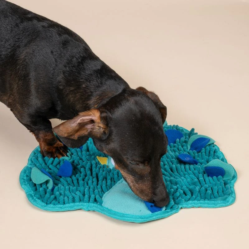 TIAKI Peacock Sniffing Mat 36 X 31 X 1 Cm (L X W X H) 4 TIAKI Peacock Sniffing Mat 36 X 31 X 1 Cm (L X W X H) - Image 4