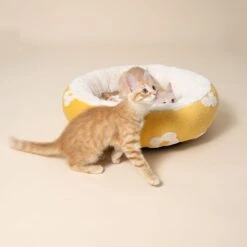 TIAKI Flower Dog Bed Square: Approx. 47 X 47 X 21 Cm (L X W X H) -Zoo Plus 596702 hundebett flower cat fg 0217 5 1