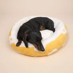 TIAKI Flower Dog Bed Round: Approx. Diameter 51 X (H) 18 Cm 21 TIAKI Flower Dog Bed Round: Approx. Diameter 51 X (H) 18 Cm -Zoo Plus 596702 hundebett flower fg 0180 6
