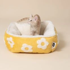 TIAKI Flower Dog Bed Round: Approx. Diameter 51 X (H) 18 Cm 19 TIAKI Flower Dog Bed Round: Approx. Diameter 51 X (H) 18 Cm -Zoo Plus 596798 hundebett flower cat fg 0252 8