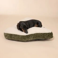 TIAKI Fir Tree Dog Bed Approx. 70 X 70 X 18 Cm (L X W X H) -Zoo Plus 597700 tiaki spruce bed fg 1850 4