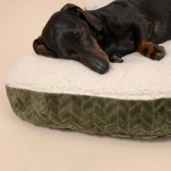 TIAKI Fir Tree Dog Bed Approx. 70 X 70 X 18 Cm (L X W X H) -Zoo Plus 597700 tiaki spruce bed fg 1851 3