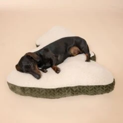 TIAKI Fir Tree Dog Bed Approx. 70 X 70 X 18 Cm (L X W X H) -Zoo Plus 597700 tiaki spruce bed fg 1852 6