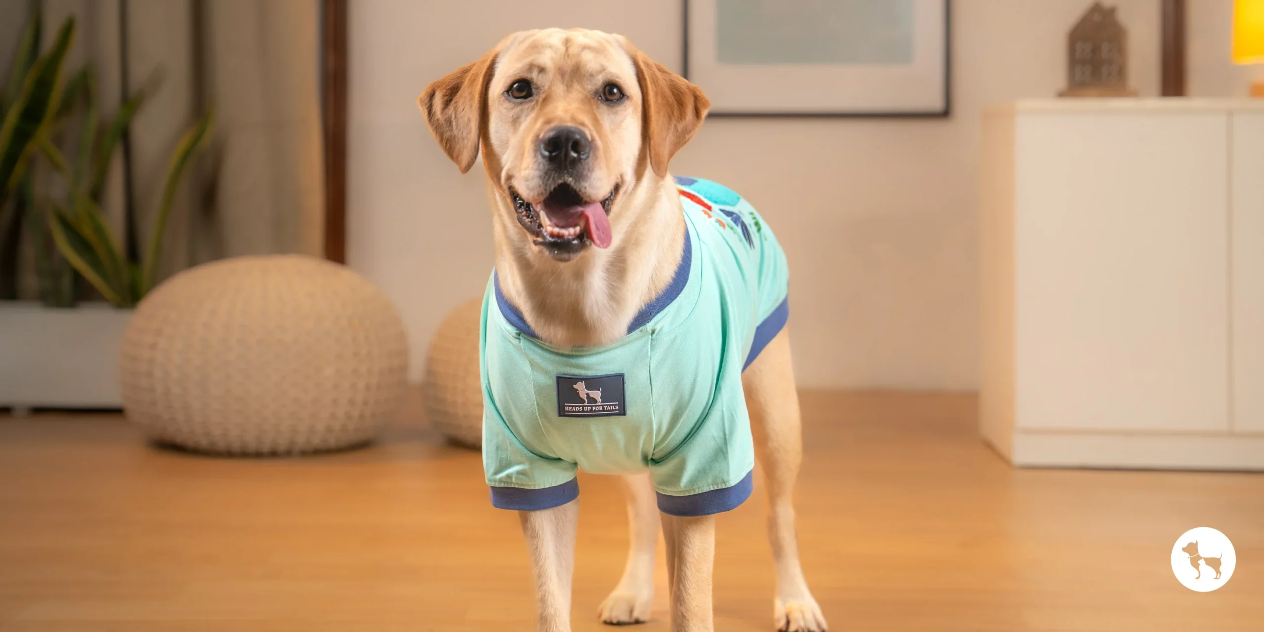 Zoo Plus -Zoo Plus Summer scaled