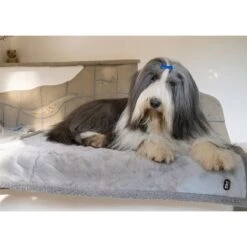 TIAKI Waterproof Dog Blanket - Grey Size S: 73 X 63 Cm (L X W) -Zoo Plus decke72m 9