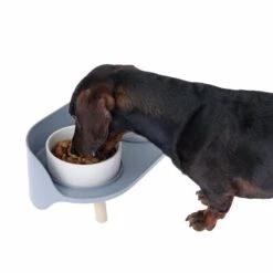 TIAKI Ceramic Bowl Duo 2 X 450 Ml, Diameter 12.5 Cm -Zoo Plus dsc6184 0