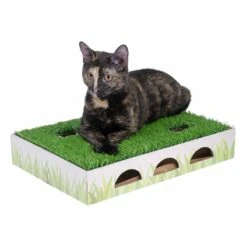 TIAKI Hunting Box With Grass Patch Cat Toy 40 X 28 X 7 Cm (L X W X H) -Zoo Plus dsc7197 0
