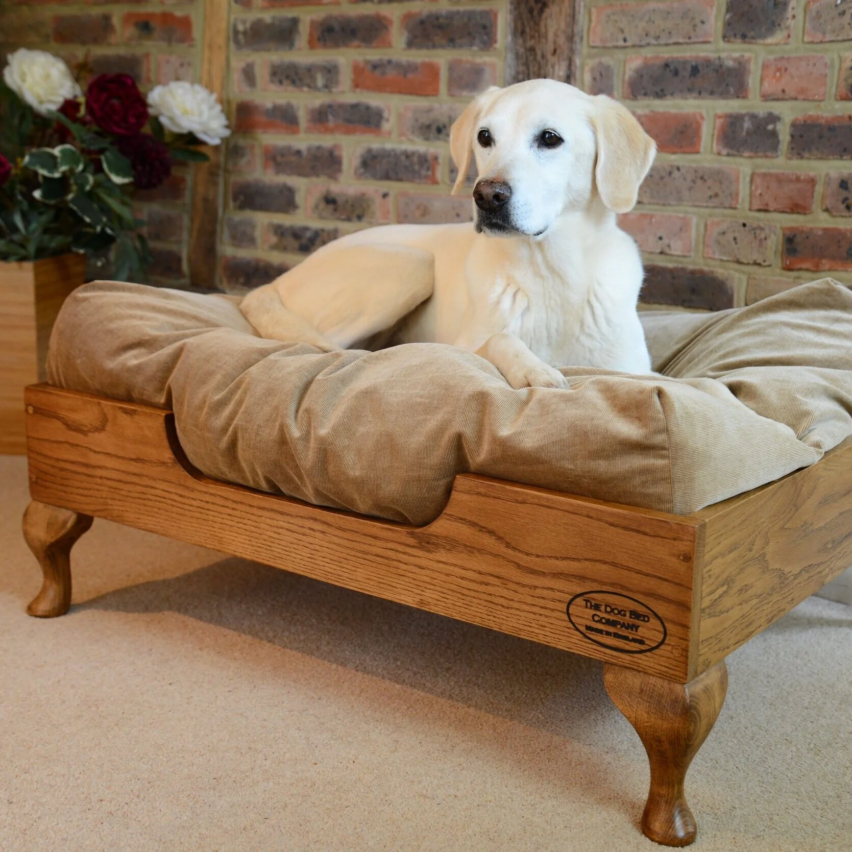 Zoo Plus -Zoo Plus smokedoak