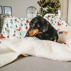 TIAKI Fun Winter Blanket For Dogs Blanket For Pawrents: 150 X 130cm (L X W) -Zoo Plus tiaki decke funny winter dogs fs3 1 2